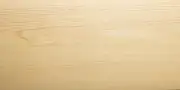 1702 1702