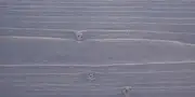 1826 1826
