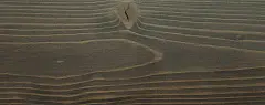 GNATURE 2019 Прозрачно-чёрный
