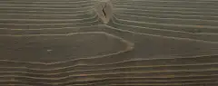 GNATURE 2019 Прозрачно-чёрный