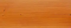 GNATURE 2039 Тициан