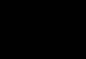 SAICOS 4019 Чёрный укрывной