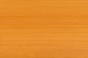 Tikkurila 5054 Kantarelli