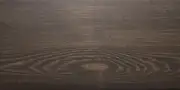 5069 5069