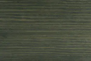 Tikkurila 5079 Kuusi