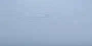 cvet-ral-7000-1 cvet ral 7000 1