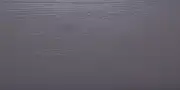 cvet-ral-7006-1 cvet ral 7006 1