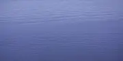 ncss-2040r70b-1 ncss 2040r70b 1