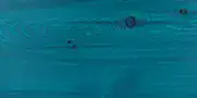 ral5020-180-1 ral5020 180 1