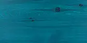 ral5020-180 ral5020 180