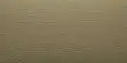 ral-1020-1 ral 1020 1