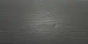 ral-7010-1 ral 7010 1