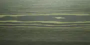 sad-40 SAD .40