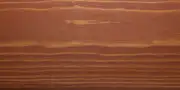 sad-29 SAD 29