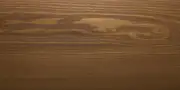 sad-6 SAD 6
