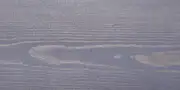 tm-18261 TM 18261