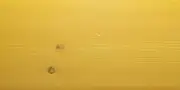 tv-374395 TV .374395