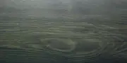 tv-5079 TV .5079