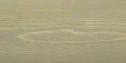 tv-1625 TV 1625